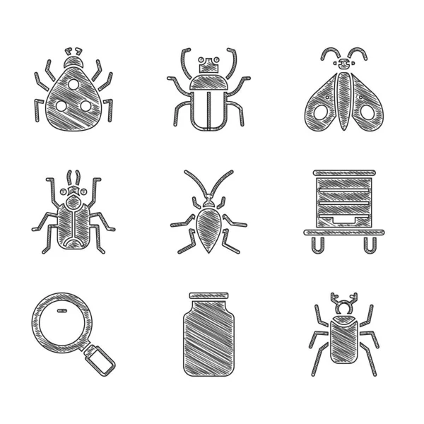 Set Cockroach, Glass jar, Beetle bug, Hive for bees, Magnifying glass, Butterfly and Ladybug icon. Vector — стоковый вектор