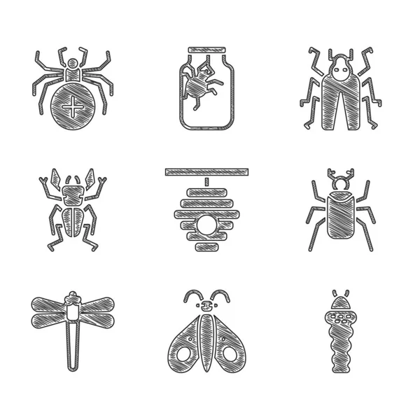 Set Hive for bees, Butterfly, Larva insect, Beetle bug, Dragonfly, deer, and Spider icon. Vector — Stockový vektor