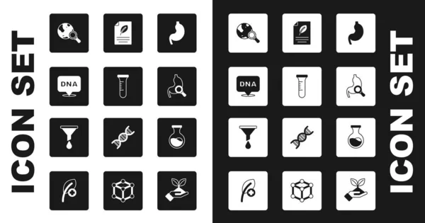 Set Menschlicher Magen, Reagenzglas und Kolben, DNA-Symbol, Lupe mit Globus, Magenvergrößerung, Ökopapierblatt und Trichter oder Filtersymbol. Vektor — Stockvektor