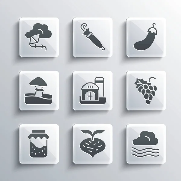 Set Beet, Windy weather, Grape fruit, Farm house, Jam jar, Mushroom, Kite and Eggplant icon. Vector — Stock vektor