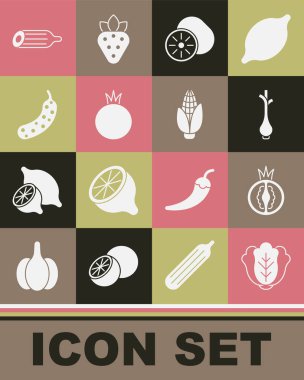 Lahana, domates, taze yeşil soğan, kivi meyvesi, salatalık ve mısır ikonu. Vektör