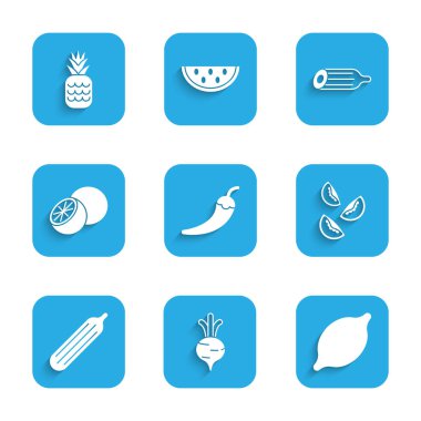 Acı biber, pancar, domates, salatalık, portakal ve ananas ikonu. Vektör