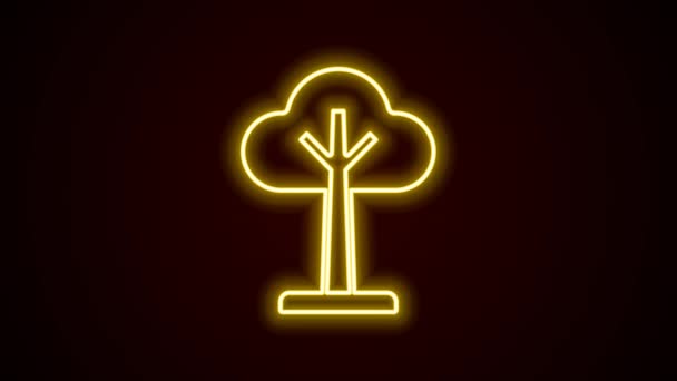 Glowing neon line Tree icon isolated on black background. Forest symbol. 4K Video motion graphic animation — Stock Video