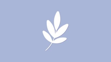 Mor arkaplanda izole edilmiş Beyaz Film ödülü ikonu. Akademi ödülü ikonu. Filmler ve sinema sembolü. 4K Video hareketli grafik canlandırması