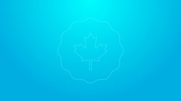 Rózsaszín vonal Kanadai juharfalevél ikon elszigetelt kék alapon. Kanada szimbólum juharfalevél. 4K Videó mozgás grafikus animáció — Stock videók