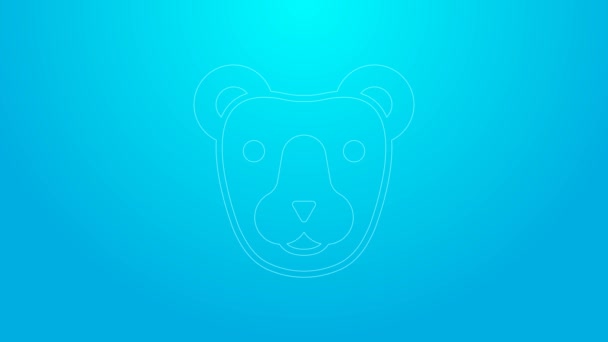 Línea rosa Icono de la cabeza del oso aislado sobre fondo azul. Animación gráfica de vídeo 4K — Vídeos de Stock