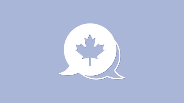 Иконка белого канадского кленового листа выделена на фиолетовом фоне. Символ Канады кленовый лист. Видеографическая анимация 4K — стоковое видео