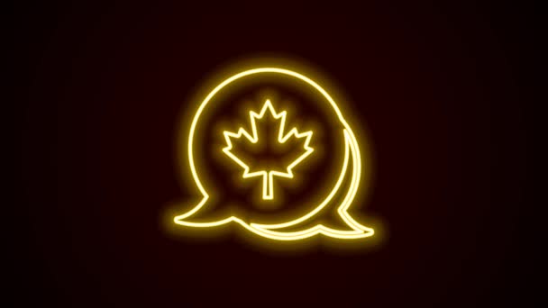 ネオンラインを輝く黒の背景に隔離されたカナダのカエデの葉のアイコン。カナダのシンボルカエデの葉。4Kビデオモーショングラフィックアニメーション — ストック動画