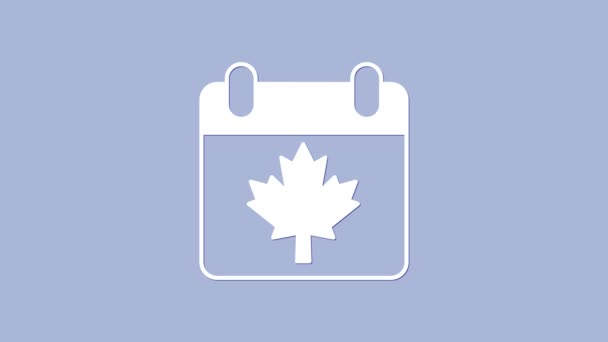 Día de Canadá blanco con icono de hoja de arce aislado sobre fondo púrpura. 1-th de julio Día de la Independencia en el calendario con la bandera de Canadá. Animación gráfica de vídeo 4K — Vídeo de stock