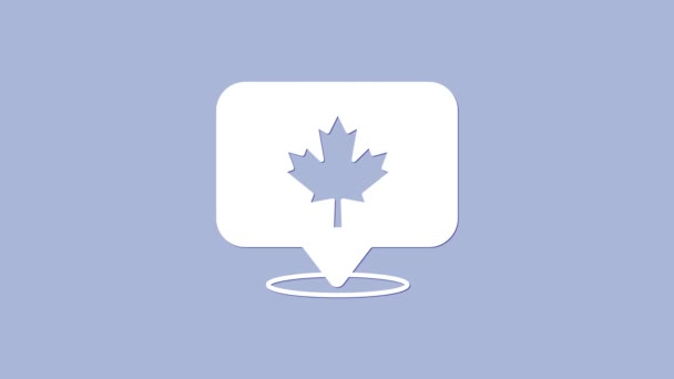 Icône de feuille d'érable canadienne blanche isolée sur fond violet. Canada symbole feuille d'érable. Animation graphique de mouvement vidéo 4K — Video