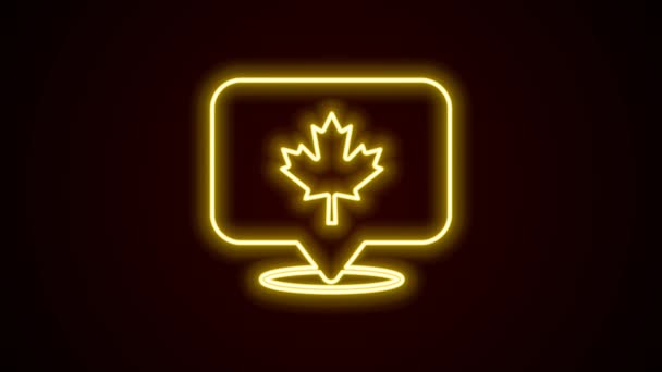 ネオンラインを輝く黒の背景に隔離されたカナダのカエデの葉のアイコン。カナダのシンボルカエデの葉。4Kビデオモーショングラフィックアニメーション — ストック動画