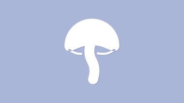 Beyaz mantar ikonu mor arkaplanda izole edilmiş. 4K Video hareketli grafik canlandırması