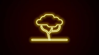Siyah zemin üzerinde parlayan neon çizgisi Afrika ağaç simgesi izole edildi. Baobab, akasya ve diğerleri. 4K Video hareketli grafik canlandırması