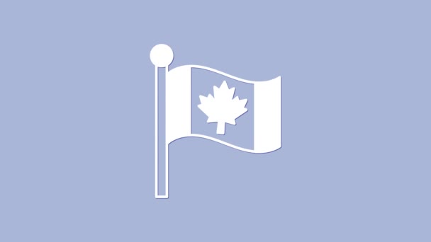 Icône Drapeau blanc du Canada isolée sur fond violet. Drapeau de pays d'Amérique du Nord sur mât. Animation graphique de mouvement vidéo 4K — Video