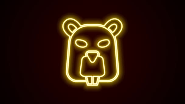 Zářící neonová čára Beaver zvíře ikona izolované na černém pozadí. Grafická animace pohybu videa 4K — Stock video