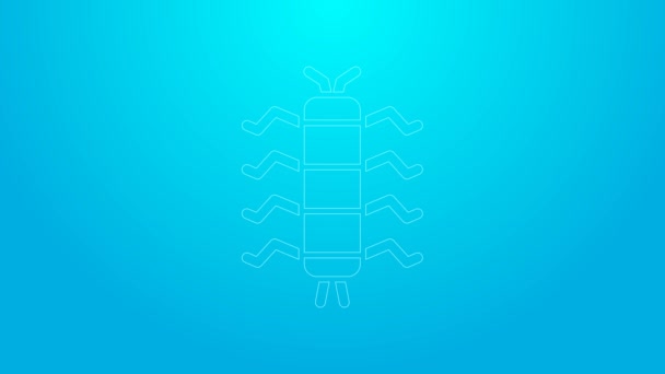 Pink line Centipede insect icon isolated on blue background. 4K Video motion graphic animation — Stock Video