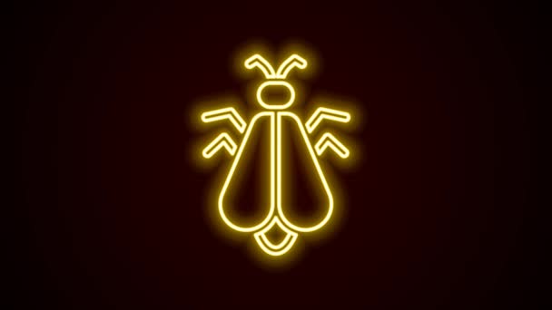 Glowing neon line Mosquito icon isolated on black background. 4K Video motion graphic animation — Stock Video