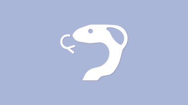 Beyaz Yılan simgesi mor arkaplanda izole edilmiş. 4K Video hareketli grafik canlandırması