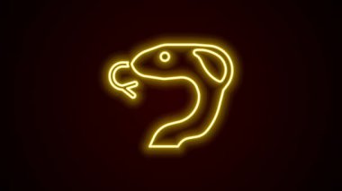 Parlayan neon hattı Yılan simgesi siyah arkaplanda izole edildi. 4K Video hareketli grafik canlandırması