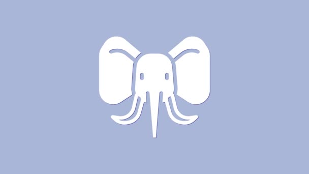 Witte olifant pictogram geïsoleerd op paarse achtergrond. 4K Video motion grafische animatie — Stockvideo