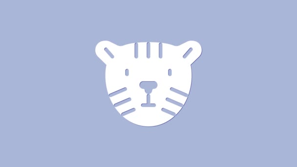 Icona della testa di tigre bianca isolata su sfondo viola. Animazione grafica 4K Video motion — Video Stock