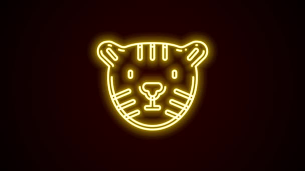 Zářící neonová čára Ikona tygří hlavy izolovaná na černém pozadí. Grafická animace pohybu videa 4K