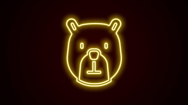 Icono de la cabeza del oso de línea de neón brillante aislado sobre fondo negro. Animación gráfica de vídeo 4K — Vídeo de stock
