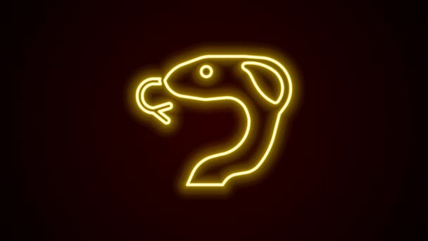 Светящаяся неоновая линия Значок змеи выделен на черном фоне. Видеографическая анимация 4K — стоковое видео
