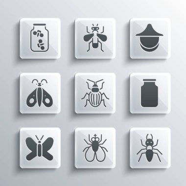 Böcek sineği, Karınca, Cam Kavanoz, Chafer Böceği, Kelebek, Ateşböcekleri ve Arıcı şapkası ikonu yerleştirin. Vektör