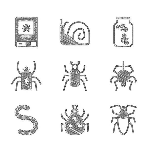 Set Coccinelle, coccinelle, cafard, araignée, ver, lucioles bugs dans le pot et livre sur l'icône des insectes. Vecteur — Image vectorielle
