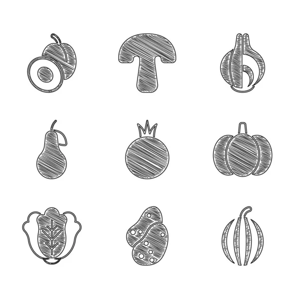 Set Icono de tomate, patata, sandía, calabaza, col, pera, cebolla y ciruela. Vector — Archivo Imágenes Vectoriales