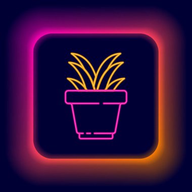 Parlayan neon hattı. Esrar ikonundaki bitki siyah arkaplanda izole edilmiş. Tencerede yetişen bir bitki. Saksı bitkisi işareti. Renkli taslak konsepti. Vektör