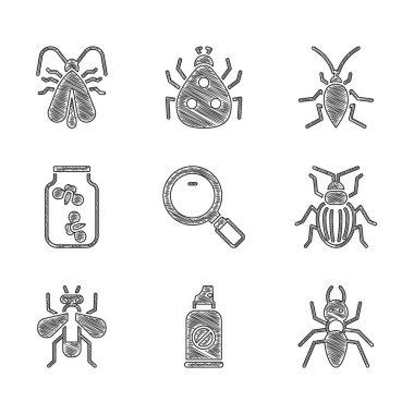 Büyüteci ayarla, böceklere karşı sprey sık, karınca, böcek, böcek sineği, ateş böcekleri kavanozu, hamamböceği ve güve ikonu. Vektör