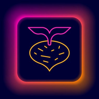 Parlayan neon hattı siyah zemin üzerinde yaprak simgesi olan taze pancar. Doğal Kök. Yiyecek için sebze karışımı. Renkli taslak konsepti. Vektör