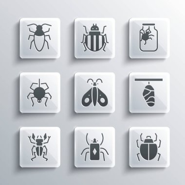 Böcek, Mite, Kelebek, Koza, Geyik, Örümcek, Hamamböceği ve kavanoz ikonu. Vektör