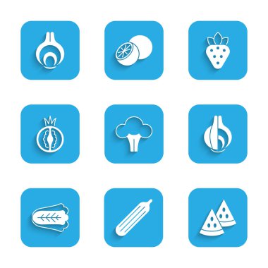 Brokoli, taze salatalık, karpuz, soğan, lahana, domates, çilek ve ikon. Vektör