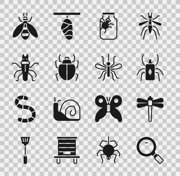 Imposta lente d'ingrandimento, libellula, insetto di coleottero, vaso di ragno, acaro, termite e icona della zanzara. Vettore — Vettoriale Stock