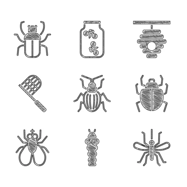 Set Chafer scarabeo, larva insetto, zanzara, acaro, mosca insetto, rete farfalla, alveare per le api e icona bug puzzolente. Vettore — Vettoriale Stock
