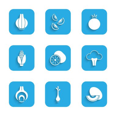 Kivi meyvesi, taze yeşil soğan kavun, brokoli, soğan, mısır, domates ve ikon koy. Vektör