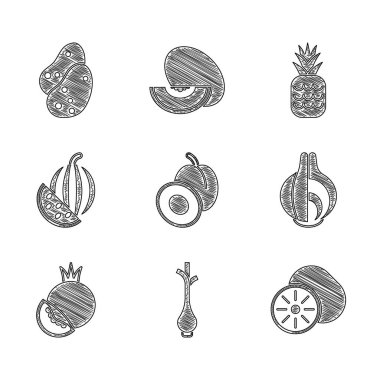 Erik meyvesi, taze yeşil soğan, Kiwi, soğan, domates, karpuz, ananas ve patates ikonu. Vektör