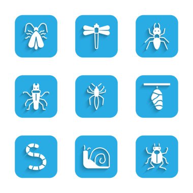 Set Örümcek, Salyangoz, Böcek, Kelebek Kozası, Solucan, Termit, Karınca ve Giysi güvesi ikonu. Vektör