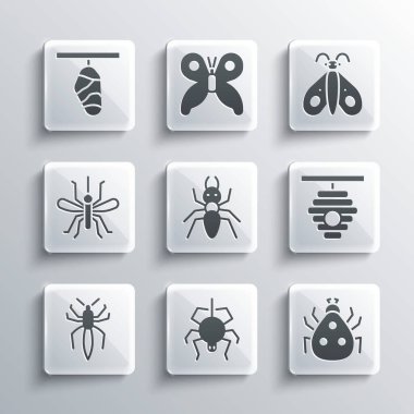 Örümcek, uğur böceği, arı kovanı, karınca, sivrisinek, kelebek kozası ve ikon. Vektör
