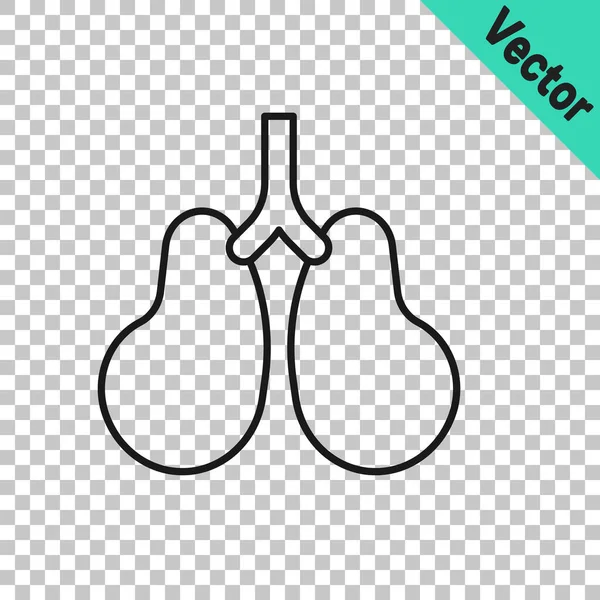 Línea negra Lungs icono aislado sobre fondo transparente. Vector — Vector de stock