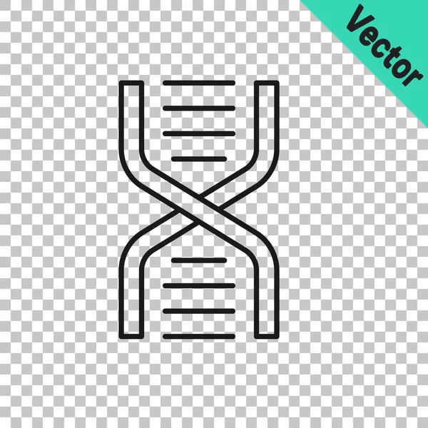 Black line DNA symbol icon isolated on transparent background. Vector — Stock Vector