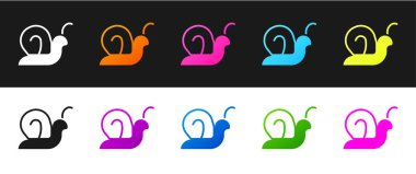 Salyangoz simgesini siyah beyaz arkaplanda izole et. Vektör