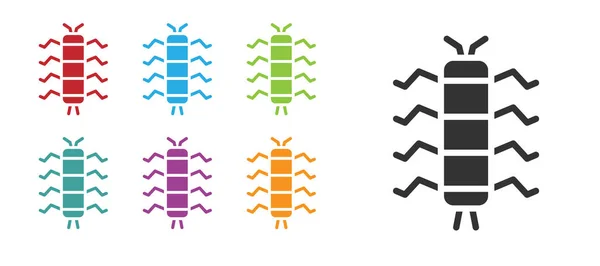 Ícone de inseto preto Centopeia isolado no fundo branco. Definir ícones coloridos. Vetor —  Vetores de Stock