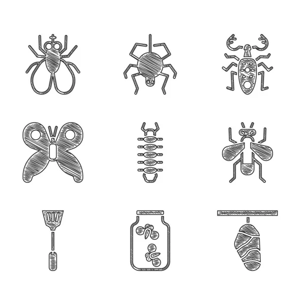 Set Centopiedi, lucciole insetti in un vaso, Butterfly bozzolo, Insetto, Fly swatter, Maggiolino cervo e icona. Vettore — Vettoriale Stock