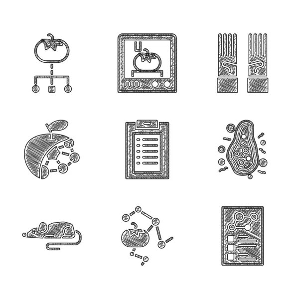 Set Klinische record, Genetisch gemodificeerd voedsel, Bacteriën, Experimentele muis, Biologische structuur, Medische rubber handschoenen en pictogram. Vector — Stockvector