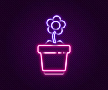 Siyah arkaplanda izole edilmiş tencere simgesinde parlayan neon hattı çiçeği. Tencerede yetişen bir bitki. Saksı bitkisi işareti. Renkli taslak konsepti. Vektör