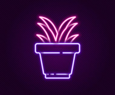 Parlayan neon hattı. Esrar ikonundaki bitki siyah arkaplanda izole edilmiş. Tencerede yetişen bir bitki. Saksı bitkisi işareti. Renkli taslak konsepti. Vektör